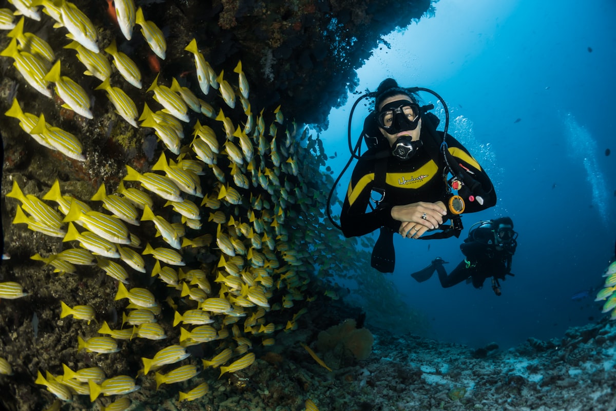 Paket Honeymoon Karimunjawa 3 Hari 2 Malam — Island & Sunset
